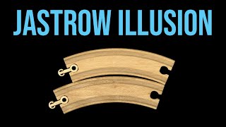 JASTROW ILLUSION - OPTICAL ILLUSION