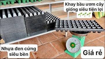 Khay bầu ươm cây giống nhựa đen cứng siêu bền, siêu tiện lợi, giá rẻ tại xưởng 0869593886