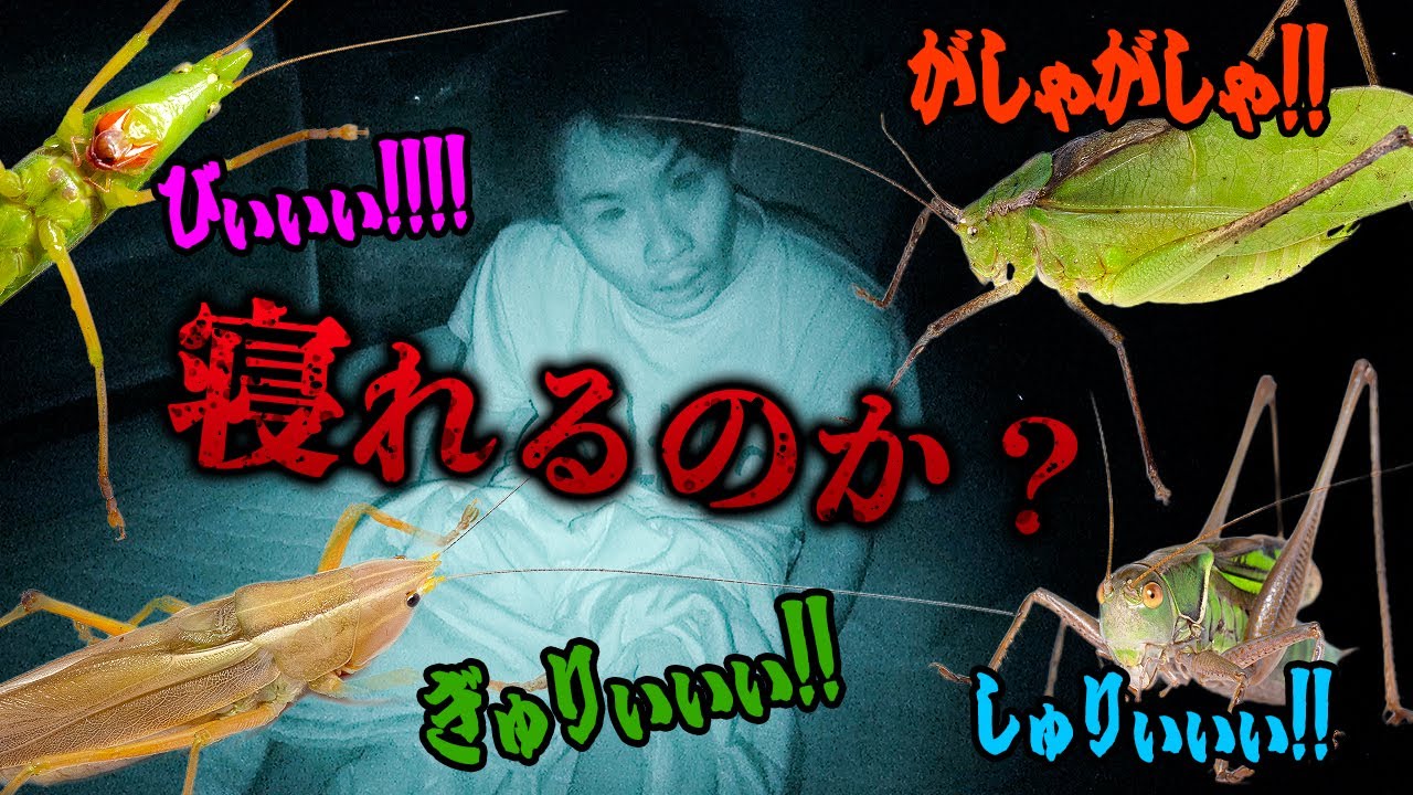 いたずら教室 野球の虫 20375ced40379f1e8ea26f8e6c287f