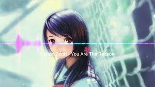 nightcoreyou Are The Reason