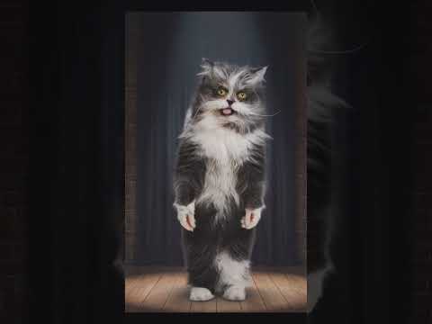 Вступление Кота