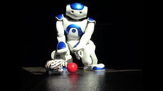 Nao Vs. Cozmo 2, The Rematch