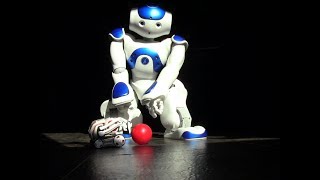 Nao Vs. Cozmo 2, The Rematch! #Aldebarannao #homerobot #humanoidrobot by Nao and Cozmo Adventures 70,868 views 6 years ago 6 minutes, 53 seconds