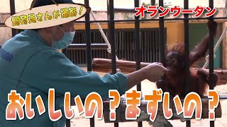 オランウータンの子どもだけに食べさせる〇〇！