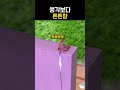 간단하죠?  #목공 #woodworking #목수 thumbnail