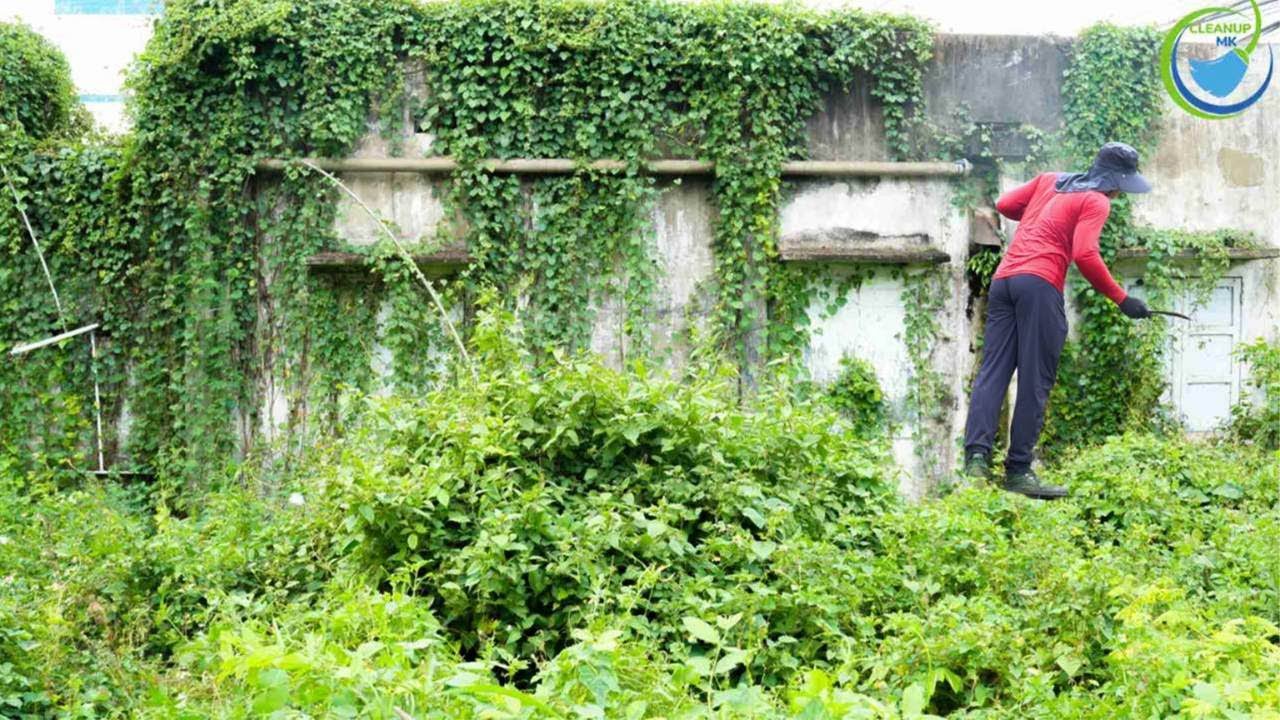 Surprised Neighbors! Home looks TERRIBLE for neighbors after 5 YEARS of overgrowth