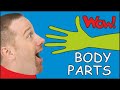 Body Parts for Kids | Dream English with Steve and Maggie in funny English stories