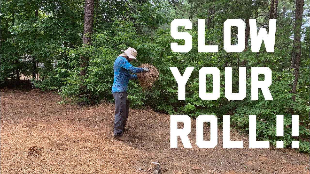 Don’t let this ruin your new lawn care business!