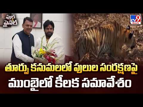 తూర్పు కనుమలలో పులుల సంరక్షణపై ముంబైలో కీలక సమావేశం | Big Wildlife Update | TV9 - TV9