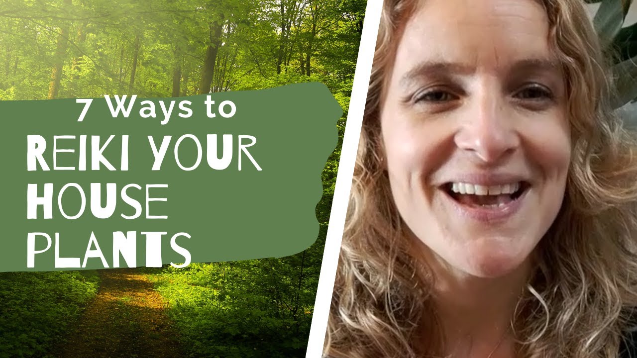 7 ways to Reiki your House Plants YouTube