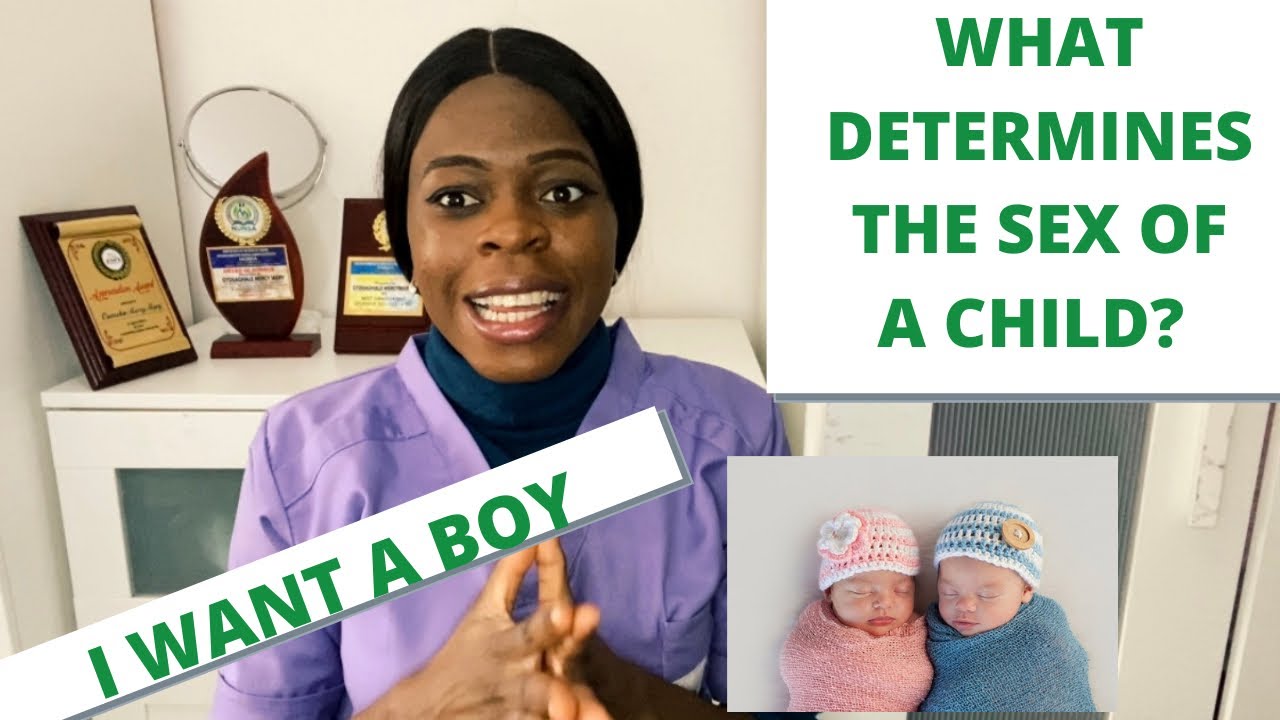 What determines the sex of a child? YouTube