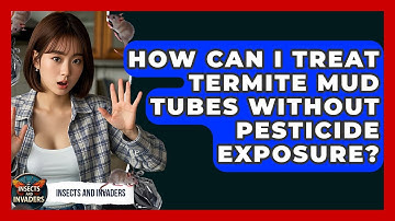How Can I Treat Termite Mud Tubes Without Pesticide Exposure? - Insects and Invaders