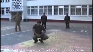 Система Кадочникова, Белоусов Ч20 Гусиный шаг Система Кадочникова, Белоусов Ч20 Гусиный шаг