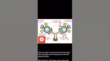 Thiết kế khuôn đúc áp lực/ Hình dáng gate ảnh hưởng đến chất lượng chi tiết đúc