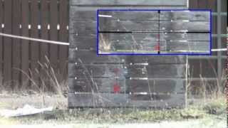 HW100 S 40 metre pellet group test with Si Pittaway