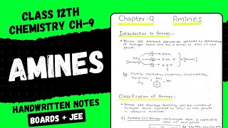 Amines Handwritten Notes || Class 12th Chemistry Chapter 9 Notes PDF