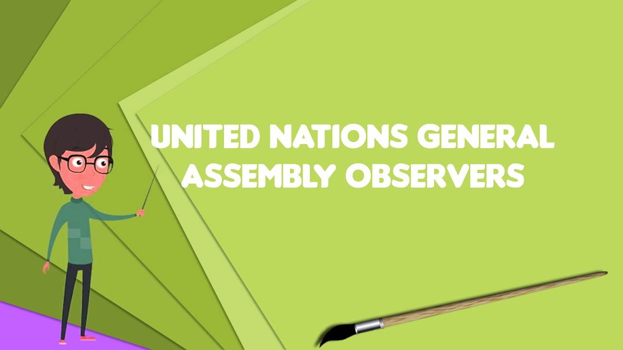 What is United Nations General Assembly observers