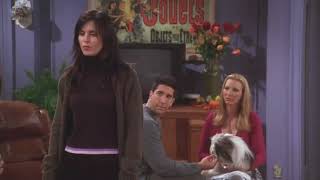 Chandler doesn't like dogs - the ultimate confession 😂