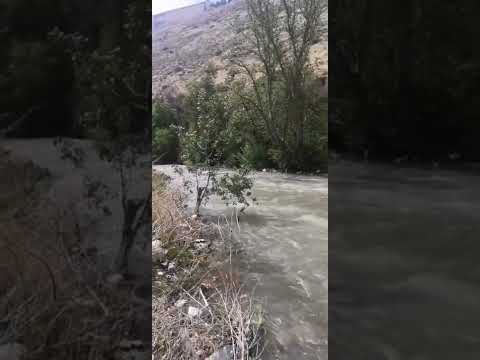 انا البكا حالي وانت الغنا حالك سوريتي نهر بردى