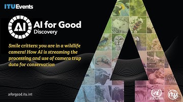 How AI is streaming the processing and use of camera trap data for conservation