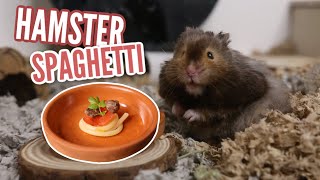 Making my Hamster Spaghetti
