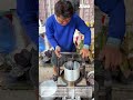 Stainless steel: manual capsicol pressing machine: household press juicer squeezer precision
