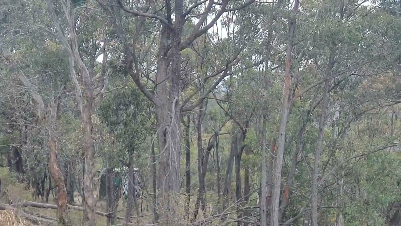 widest canyon in the world 🌎