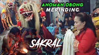 Bikin Merinding Dengar Lagu Sakral Anoman Obong Jaranan