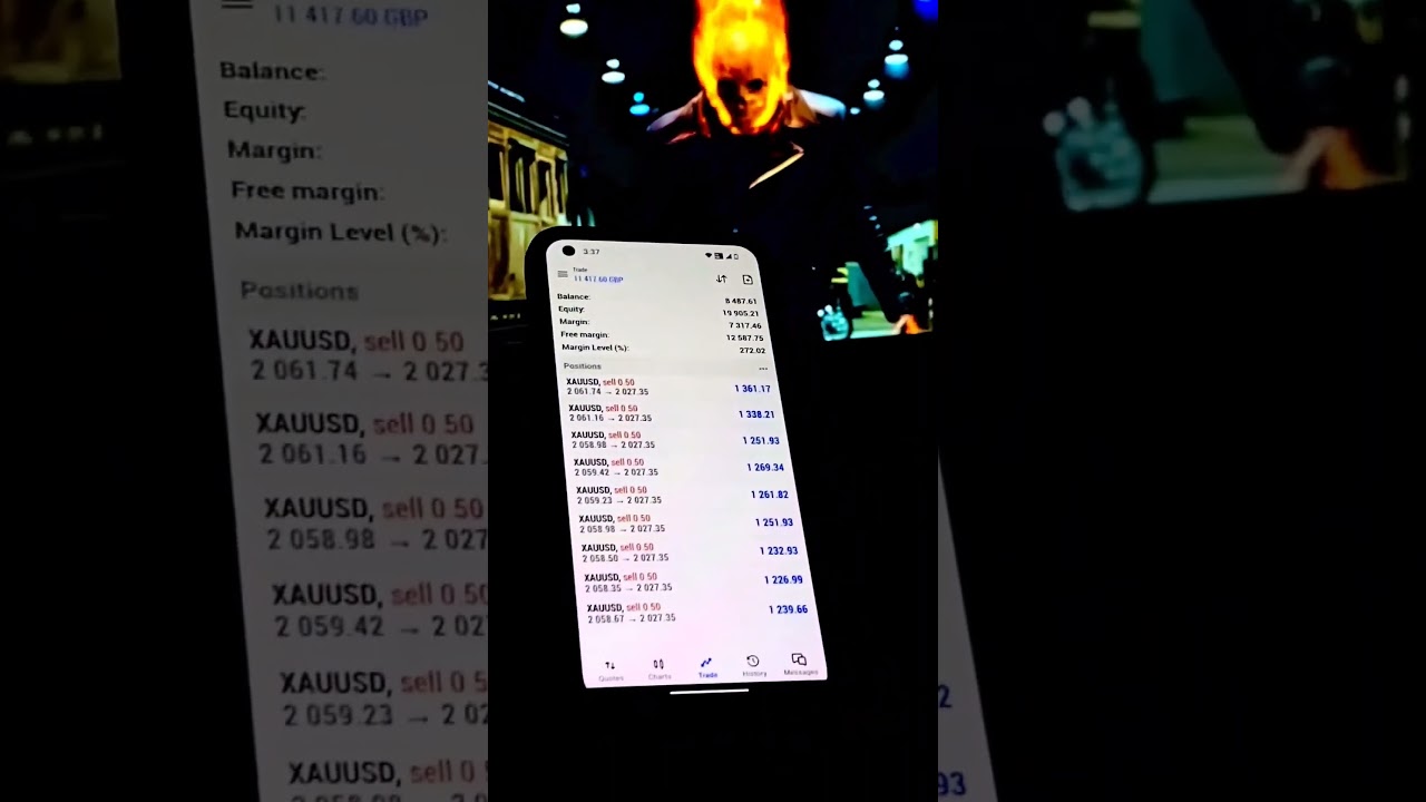 forex trading live proffit shor tday trading forex live stream 