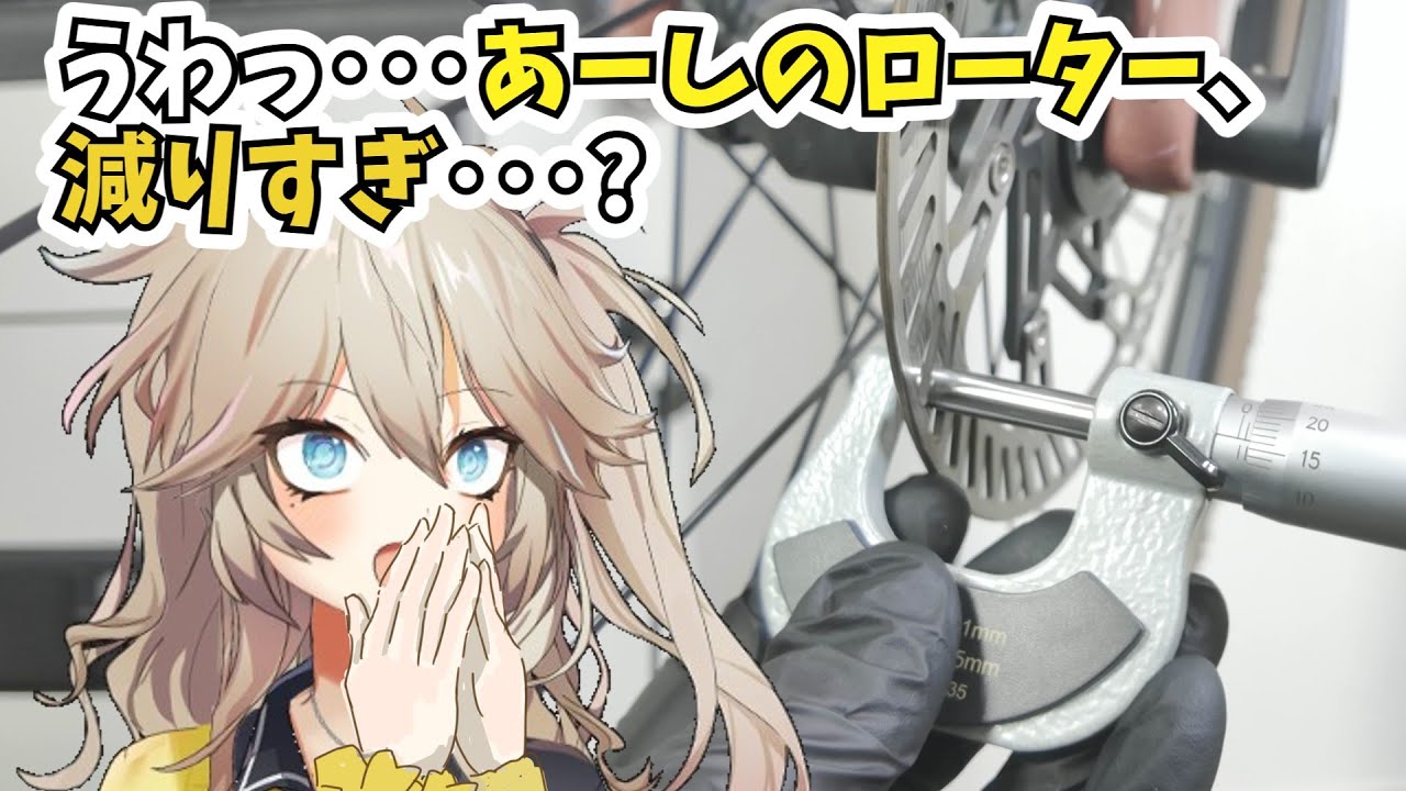 【点検】ディスクブレーキの減り方が意外だった【維持費】