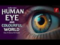 Human eye and colourful world class 10 full chapter animation  class 10 science chapter 11  cbse