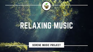 Relaxing Sleep Music🎵Meditation Music, Stress Relief Music, Music For Study [🕙3 Hours]