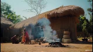 Tṣ̌omo ea Moleso oa likhomo ( 'Makatleho Mphosi-Ntoi)