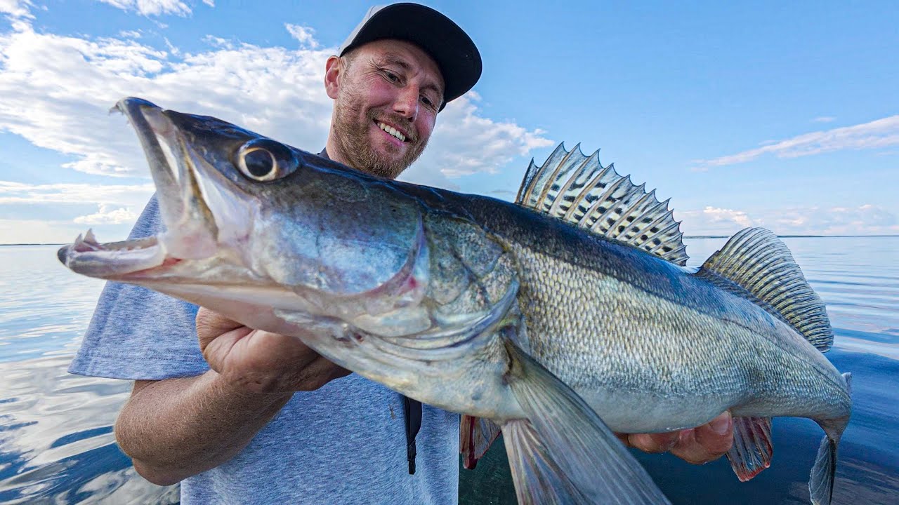 Купили новое авто. Пригласили на Волжскую Зарубу. Рыбалка на Горьковском вдхр.  Часть 1 из 2.