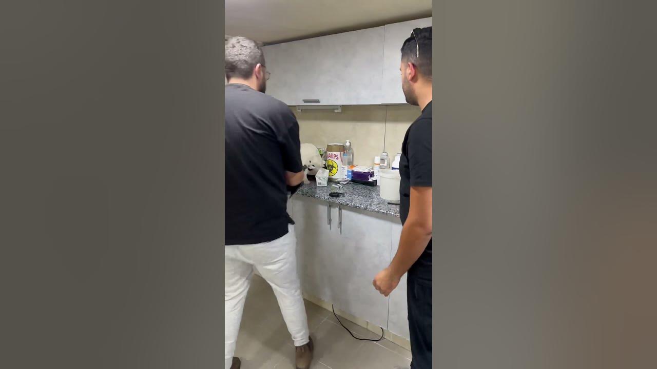 How to deal with angry cat and ferocious cat 🐱 part 104 YouTube