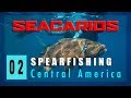 Spearfishing Panama - Seacarios