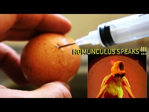 Video: In The USA, An Experiment Was Created In Which Human And Chicken Cells Were Combined - Alternative View