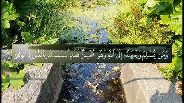 #سورة_لقمان أُولَٰئِكَ علىٰ هُدًى مِّن رَّبِّهِمْ وأُولَٰئِك هُمُ المُفْلحُون (5)