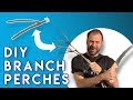 10 Steps How to Make Natural Branch Perches for Parrots (DIY)