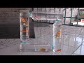 Cara Membuat Aquarium Dari Botol Bekas