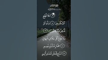 سورة القلم فلا تطع المكذبين ودوا لو تدهن فيدهنون ولاتطلع كل حلاف مهين ٨ إلى الآية ١٥