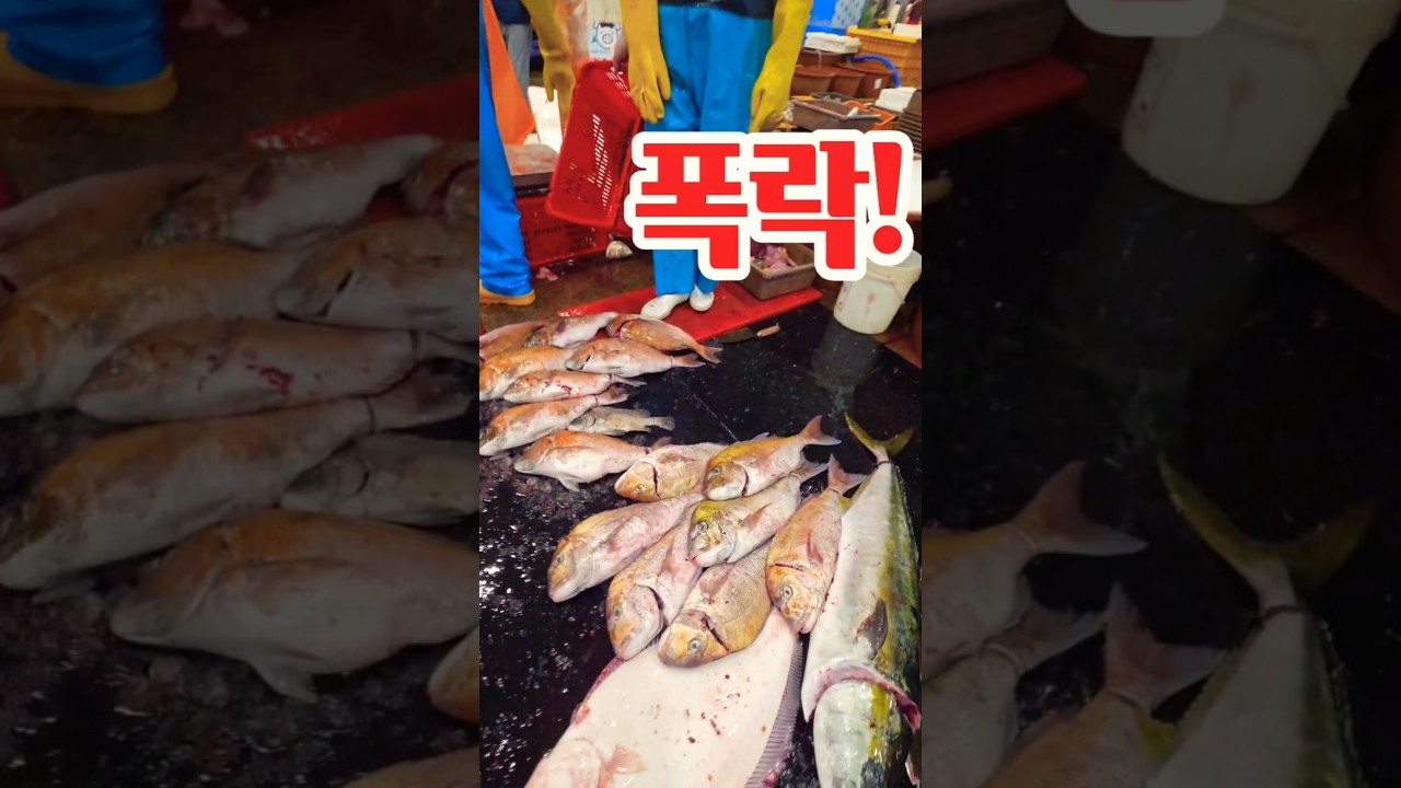 Fish price crash! How could this happen! #Fish #FishMarket