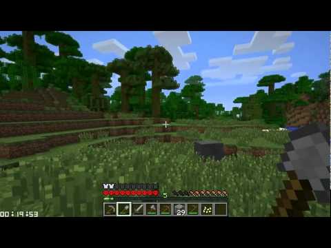 Minecraft Speed Challenge #5: Companions