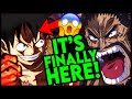 INSANE! Luffy is Officially a YONKO! One Piece