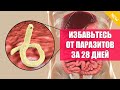 ⚠ НУЖНО ЛИ ПРОПИВАТЬ ТАБЛЕТКИ ОТ ГЛИСТОВ ДЛЯ ПРОФИЛАКТИКИ 🚫 ПРИ ОСТРИЦАХ КАКИЕ ТАБЛЕТКИ ДЕТЯМ 🎯