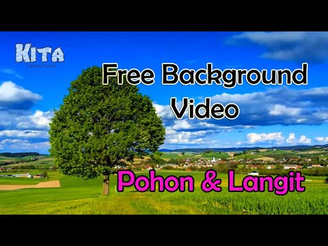 Free Background Video Pemandangan Pohon & Langit 