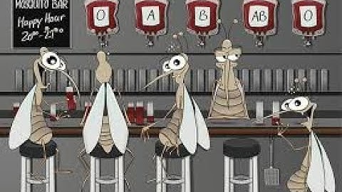 Những điều thú vị về các loài động vật-tại sao chuồn chuồn đạp nước-Giun đất biết tái sinh?