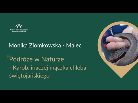 Wideo: Co To Jest Mączka Chleba świętojańskiego?