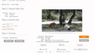 Cinegif | How it Works | Smart Compression