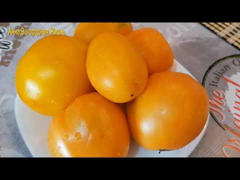ОБЗОР САМЫХ УРОЖАЙНЫХ ЖЕЛТЫХ ТОМАТОВ С ПОТРЯСАЮЩИМ ВКУСОМ.Мои результаты.Средний Урал.